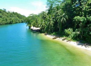 Mendilik Eksotisnya Sungai Amazon Dari Pulau Biak Di Papua