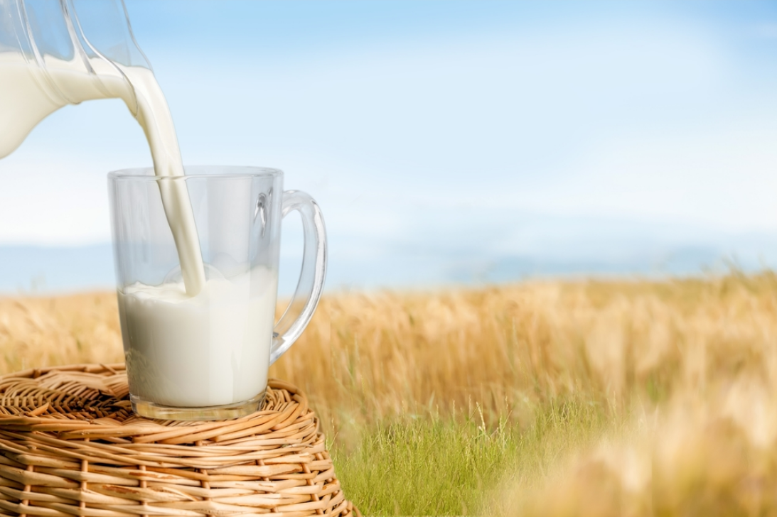 Jadikan Susu Pasteurisasi Sebagai Minuman Sehat Keluarga