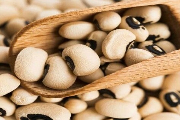 Manfaat Kacang Tolo Untuk Kesehatan