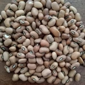 Manfaat Kacang Tolo Untuk Kesehatan